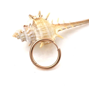 Minimalist 2.5mm round rose gold stainless steel hoop earrings shown on a seashell