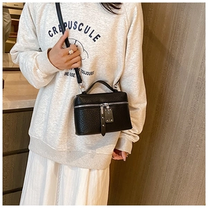 Detail of a black leather vanity crossbody bag with silver hardware and top handle