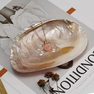 18K gold plated stainless steel necklace with pink shell M letter pendant in seashell