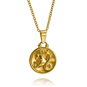 Collier en acier titane plaqué or 18 carats avec pendentif rond signe Capricorne