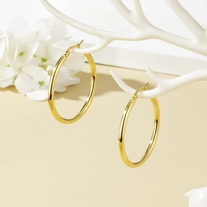 Polished gold round stainless steel hoop earrings hanging on a white branch stand