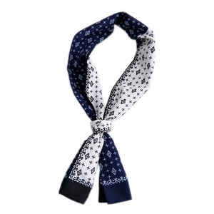 Elegante blauw-witte smalle zijden sjaal met geometrisch bloemenpatroon en stippen