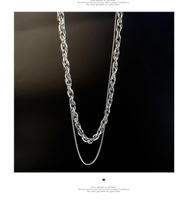 Detail of silver double-layered titanium steel necklace with thick twist and snake chains