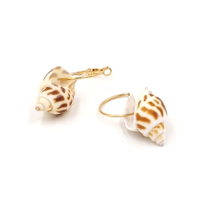 Detail of natural conch shell earrings with polished gold hoops on white background