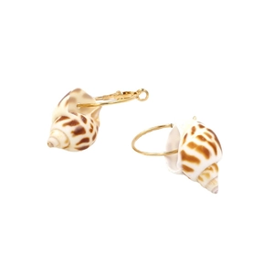Golden hoop earrings with natural conch shell pendants on a clean white background