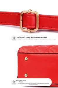 Detail of red leather shoulder strap with golden buckle and protective base studs