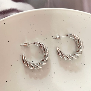 Detailed view of silver twisted rope hoop earrings with high-gloss metallic finish