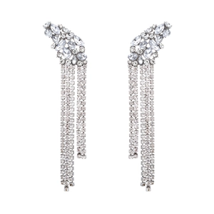Boucles d'oreilles argentées avec grappes de cristaux et longues franges de strass