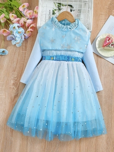 Frozen Elsa Style Girls Princess Dress Long Sleeve Snowflake Star Sequins Light Blue Mesh Tulle Party Gown Holiday Outfit