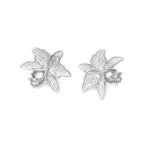 Détails des boucles d'oreilles orchidée argentées avec cristaux étincelants