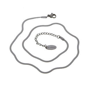 Détail de la chaîne serpent plate en acier inoxydable avec fermoir mousqueton et étiquette