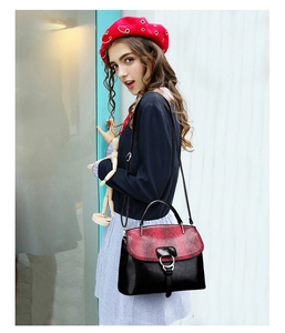 Detail of red snake pattern texture and silver buckle on two-tone crossbody handbag