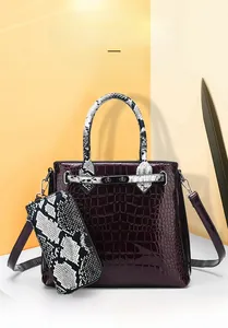 Detailed view of crocodile pattern handbag and matching wallet with silver hardware