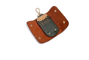 Detail view of the key case featuring six golden metal hooks and dark green leather lining