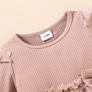 Close-up of pink ribbed fabric neckline and floral mesh detail on baby long sleeve dress