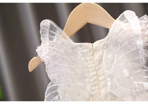 Close-up of white mesh girl's dress with butterfly wings, pearls, and sequins