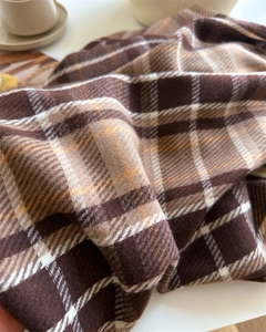 Detailed macro view of soft plaid cashmere-like texture and classic fringe on the scarf