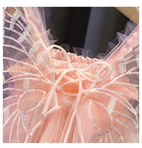 Dettaglio dell'abito in tulle rosa con intricato ricamo a farfalla e fiocco in nastro di seta