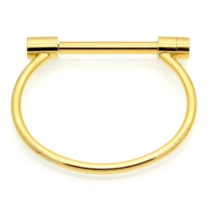 Polished gold stainless steel D-shape horseshoe buckle bracelet with screw bar lock