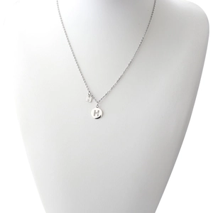 Close-up of silver titanium steel necklace with double H pendants on a white neck model