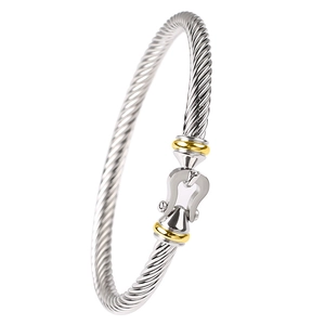 Detail of silver twisted cable bracelet featuring gold accents and horseshoe clasp