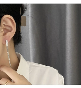 Close-up of long silver tassel earrings with sparkling crystals worn by a model