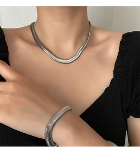 Silver stainless steel flat snake chain necklace and bracelet set worn by a model