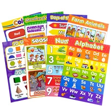 Detail showing various English educational posters for biology and basic cognition