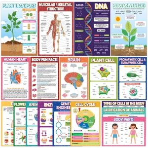 Educational Science Biology History Posters Waterproof Cardstock For Classroom School Home Learning Wall Decor