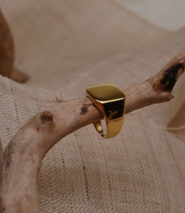 Detail view of gold square signet ring with adjustable band on natural wood branch