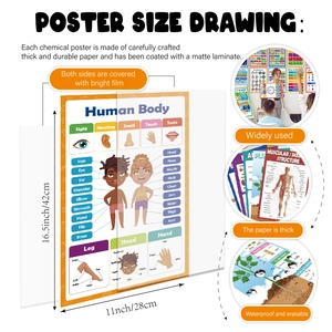 Waterproof 11x16.5in human body anatomy educational posters for kids' early learning