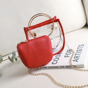 Mini transparent PVC daisy handbag with red leather inner pouch and gold chain strap
