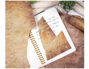 Vue macro de feuilles de papier fibre vintage aux bords déchirés pour décor de scrapbooking