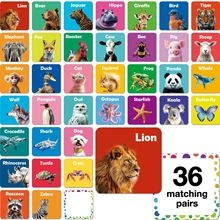 Detail of 36 animal matching pairs educational flashcards with real photography for kids