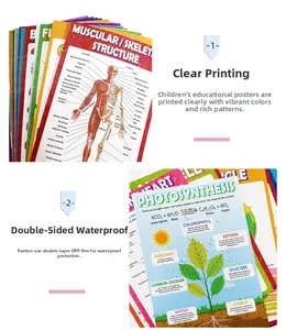 Detail of waterproof biology posters showing plant cell structure and human anatomy diagrams