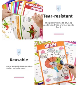 Detailed macro view of durable 250g cardstock posters showing tear-resistant and erasable surface