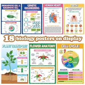 Set of 18 educational biology posters covering cells, genetics, and anatomy for classrooms