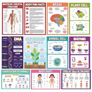 Set of 11 educational biology posters showing human anatomy and cell structures