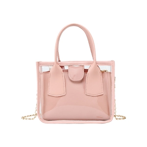 Transparent PVC crossbody bag with pink leather pouch and gold chain strap for women