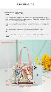 Detailed size comparison of a transparent daisy bag with woven inner pouch and scarf