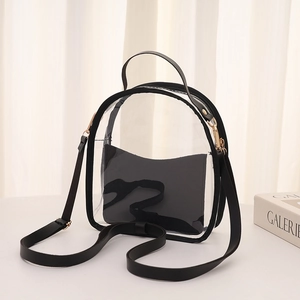 Transparent PVC mini handbag with black leather trim and gold hardware for women