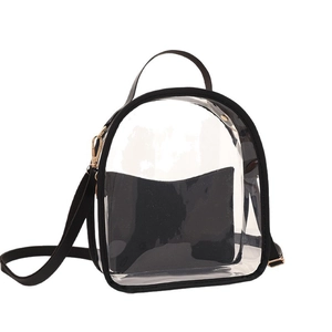 Mini transparent PVC jelly backpack with black trim and gold hardware in a sleek design