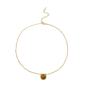 French minimalist gold horseshoe necklace with tiger eye stone and lobster clasp closure