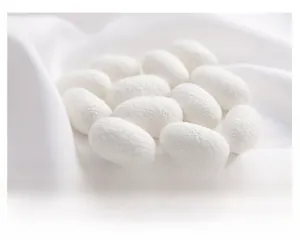 Macro shot of premium natural white silk cocoons showing high quality fiber textures