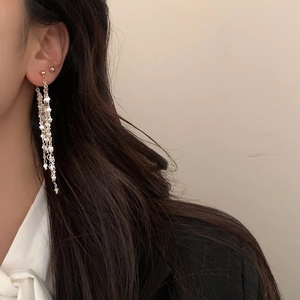 Close-up of silver long tassel earrings with shimmering round sequins on a model
