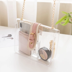 Transparent PVC crossbody bag with pink buckle strap and gold chain strap for women