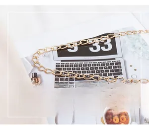 Polished gold flat oval chain strap detail on a stylish fashion accessory background