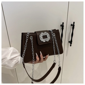 Macro shot of dark brown bag featuring luxury square crystal buckle and silver chain