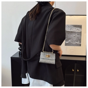 Detail of silver rhinestone mini bag featuring a gold chain strap and metal lock closure