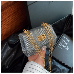 Close-up of silver rhinestone mini bag with gold chain and metal twist lock detail